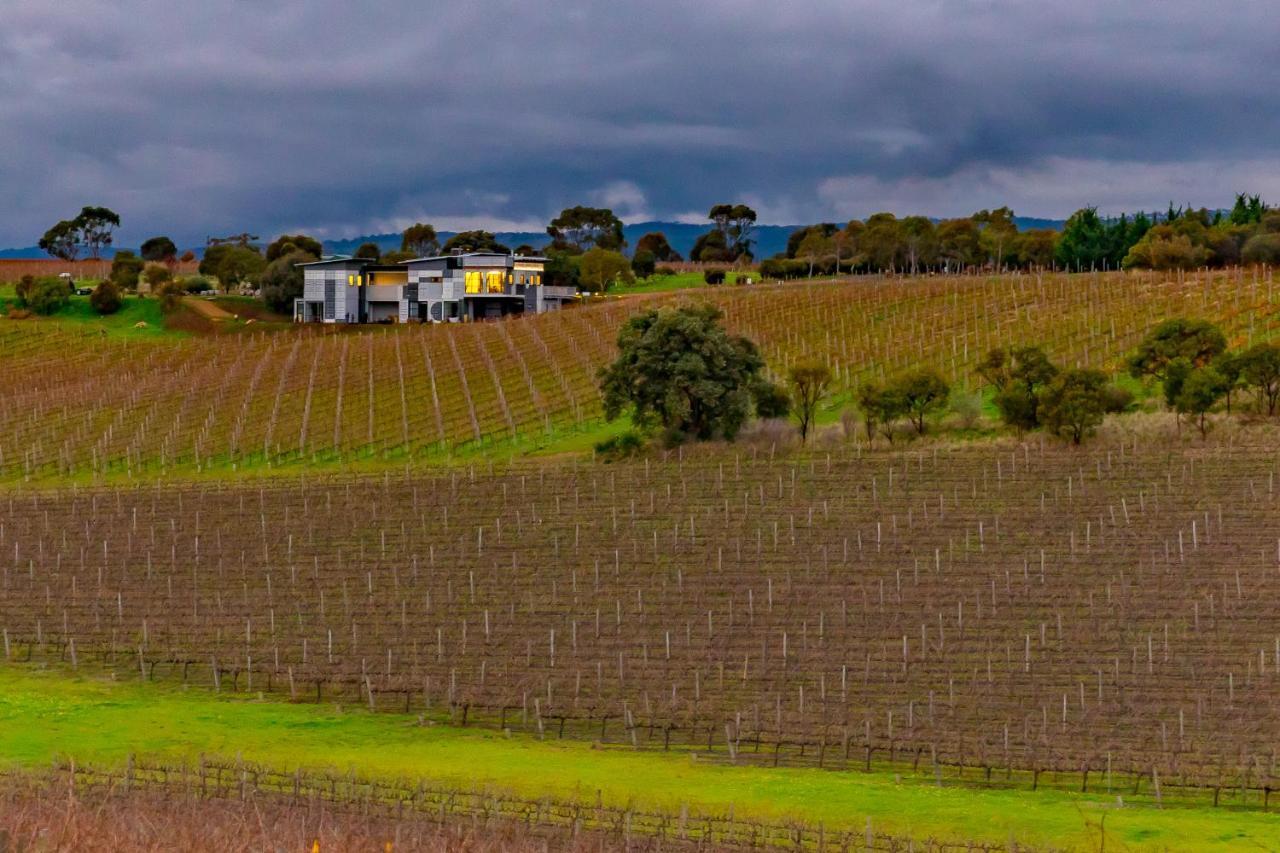 California Road At Inkwell Wines Hotel Mclaren Vale