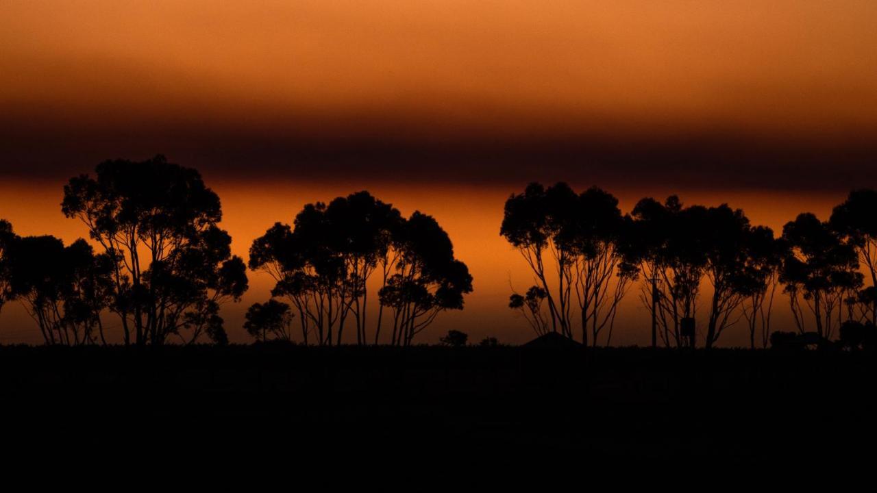 Hotel California Road At Inkwell Wines Mclaren Vale