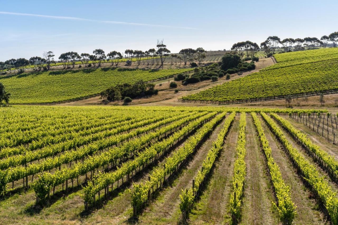 Hotel California Road At Inkwell Wines Mclaren Vale